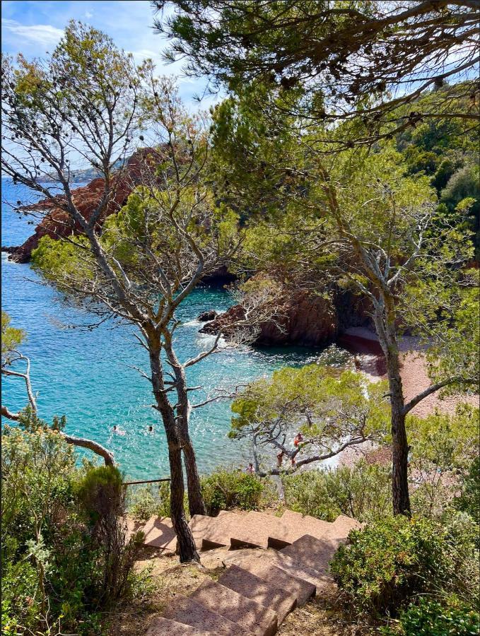 Les Cactus Frejus Plage Exterior photo