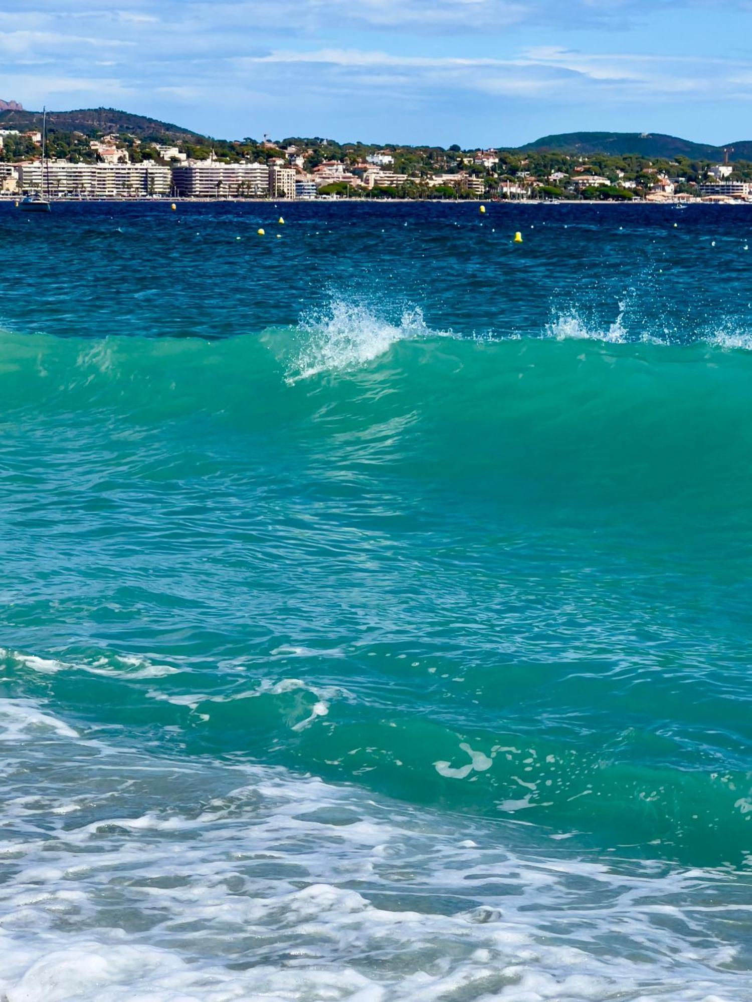Les Cactus Frejus Plage Exterior photo